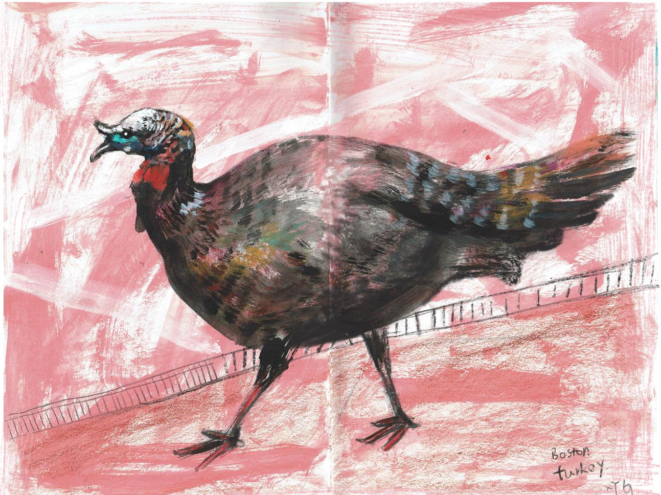 Sketchbook, illustration by Xuanyi Guo