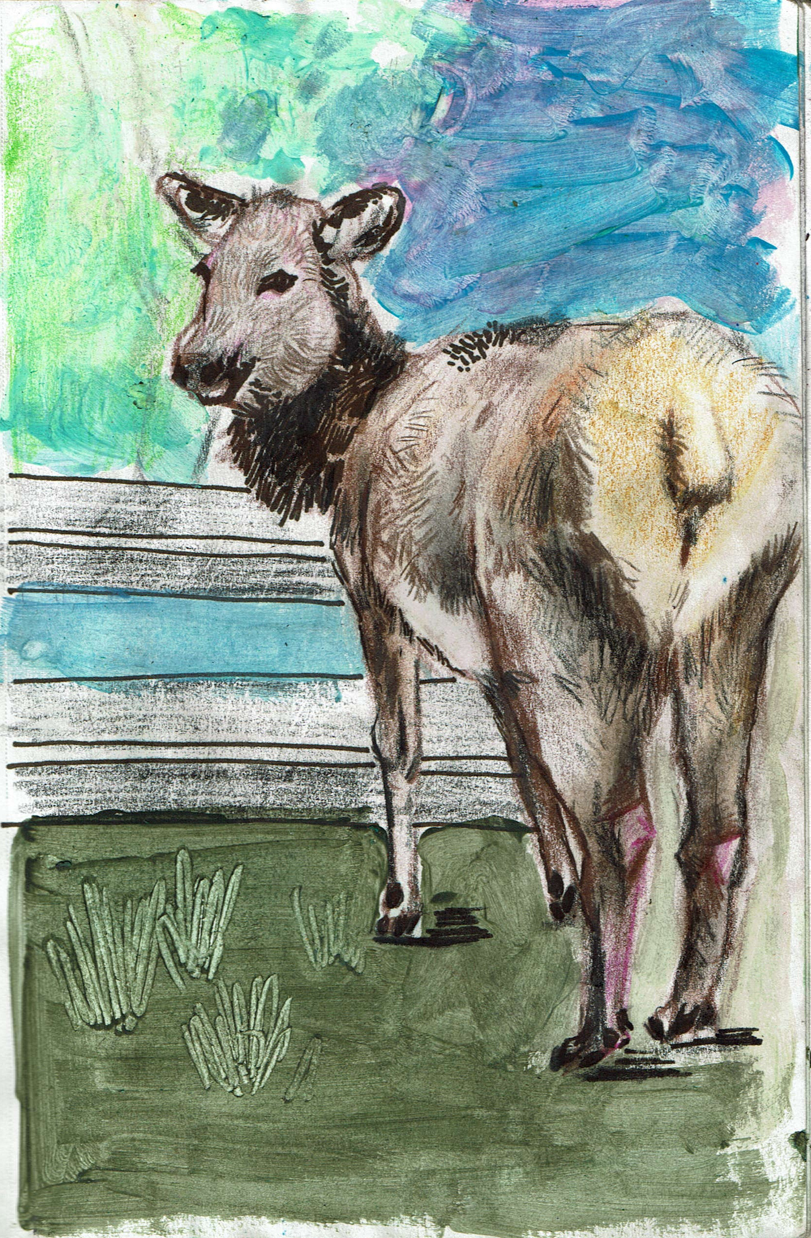 Sketchbook, illustration by Xuanyi Guo
