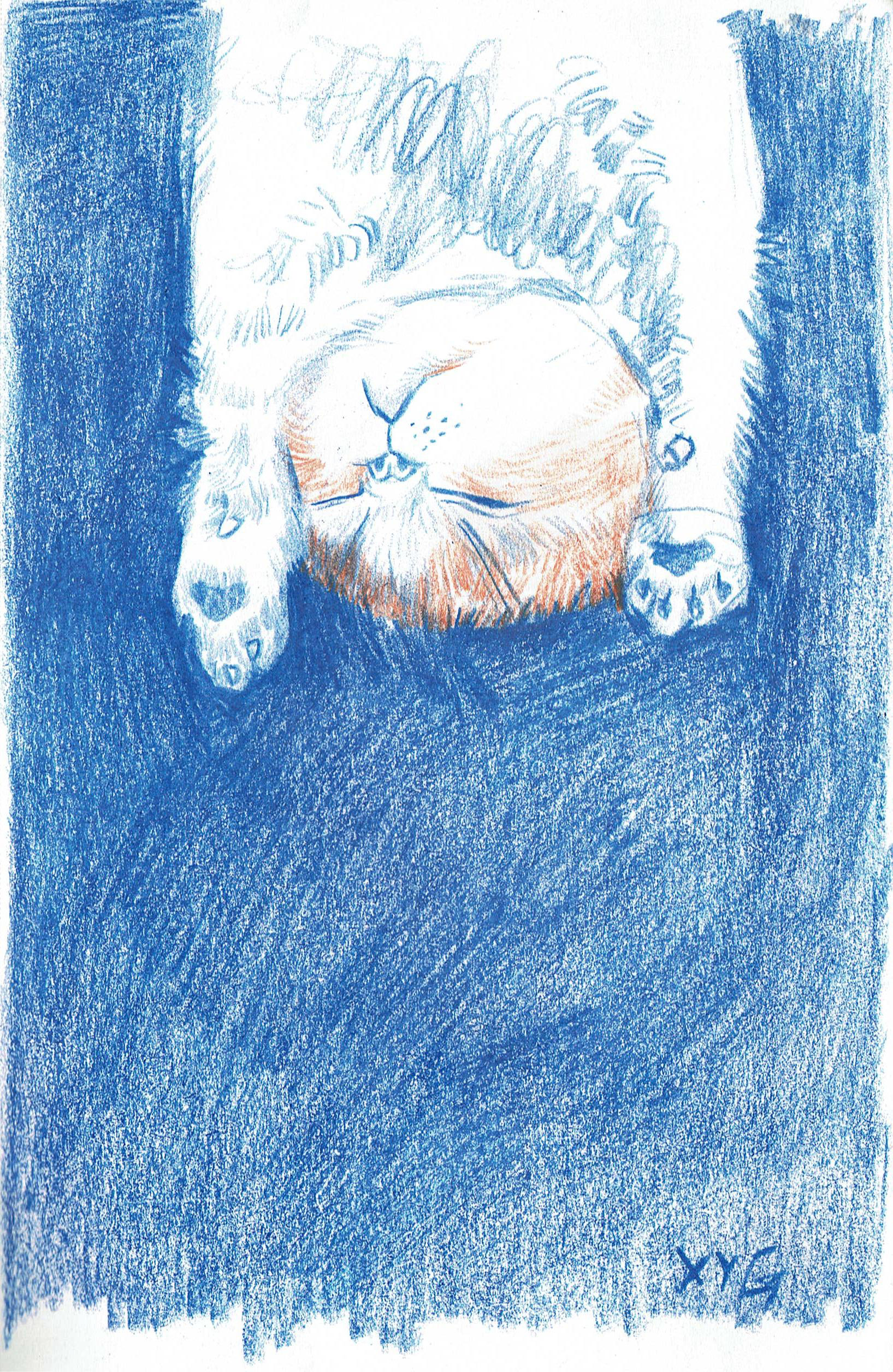 Sketchbook, illustration by Xuanyi Guo