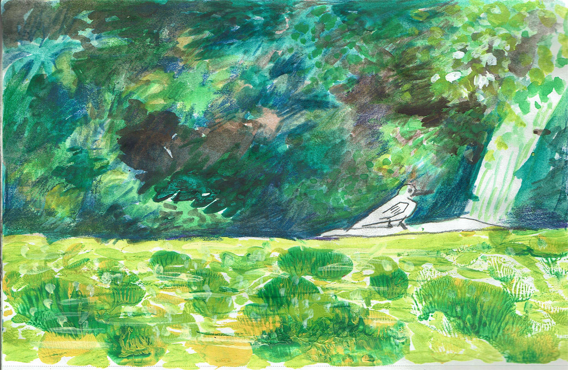 Sketchbook, illustration by Xuanyi Guo
