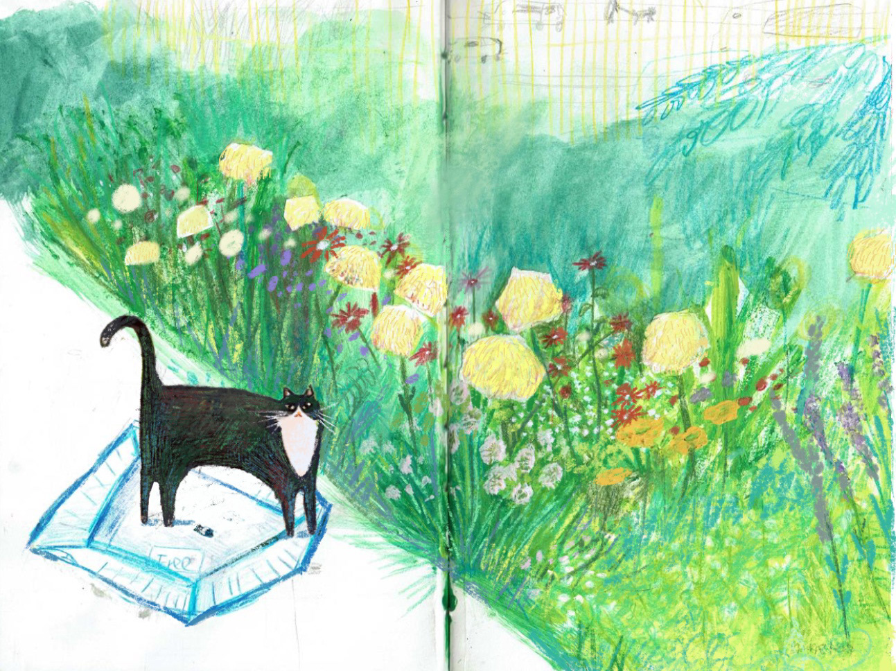 Sketchbook, illustration by Xuanyi Guo